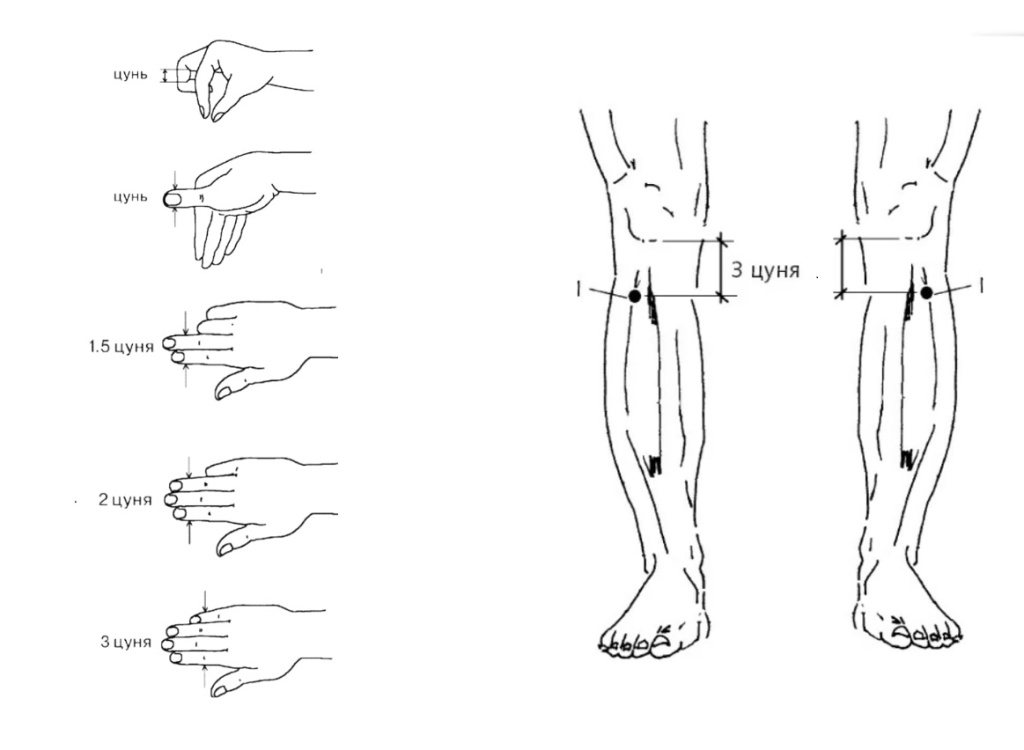 ЦУ САН ЛИ.jpg